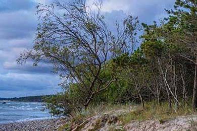 Group B 助推，英队首战轻松取胜意大利，英国和意大利比赛